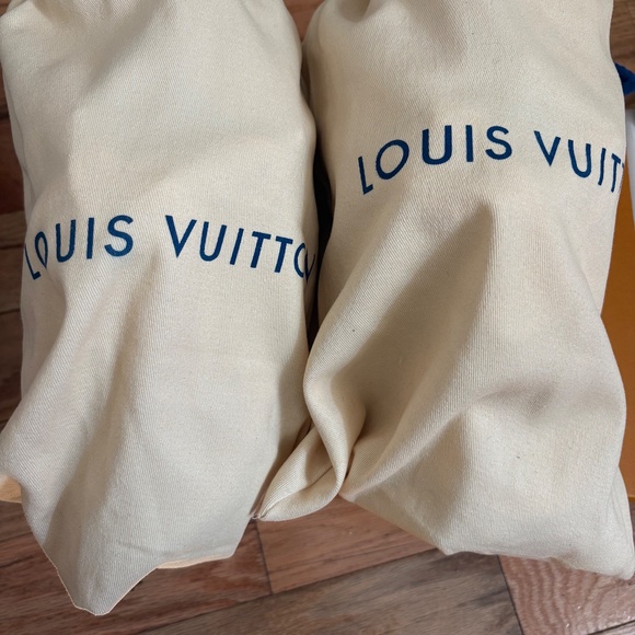 Louis Vuitton Monogram Skate Sneakers - Picture 5 of 6